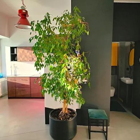 Amazing Loft With View To The Palace Of Culture * Warsaw